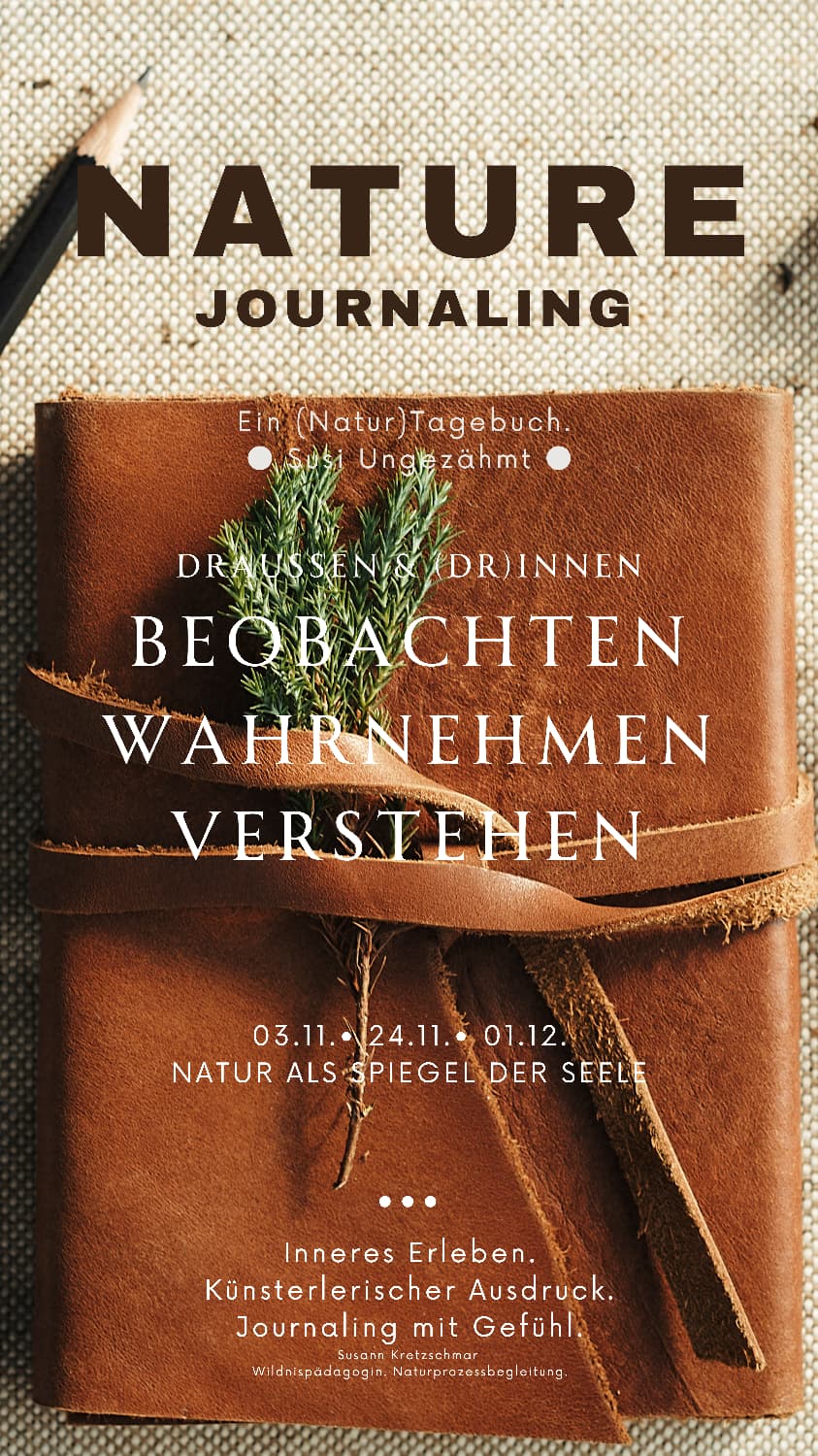 Veranstaltungsbild des NatureJournaling-Kurses an der VHS Chremnitz mit Susann Kretzschmar