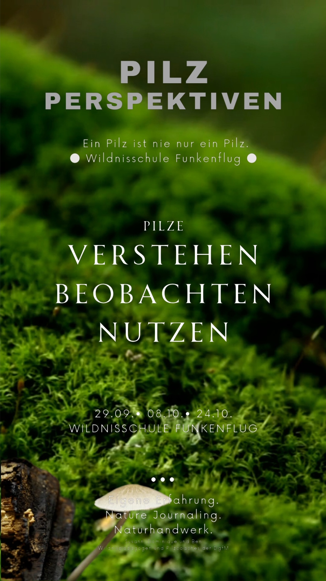 Pilze im Moos - auch sie bekommen durch Nature Journaling Aufmerksamkeit - Pilszperspektivenkurs an der VHS Chemnitz