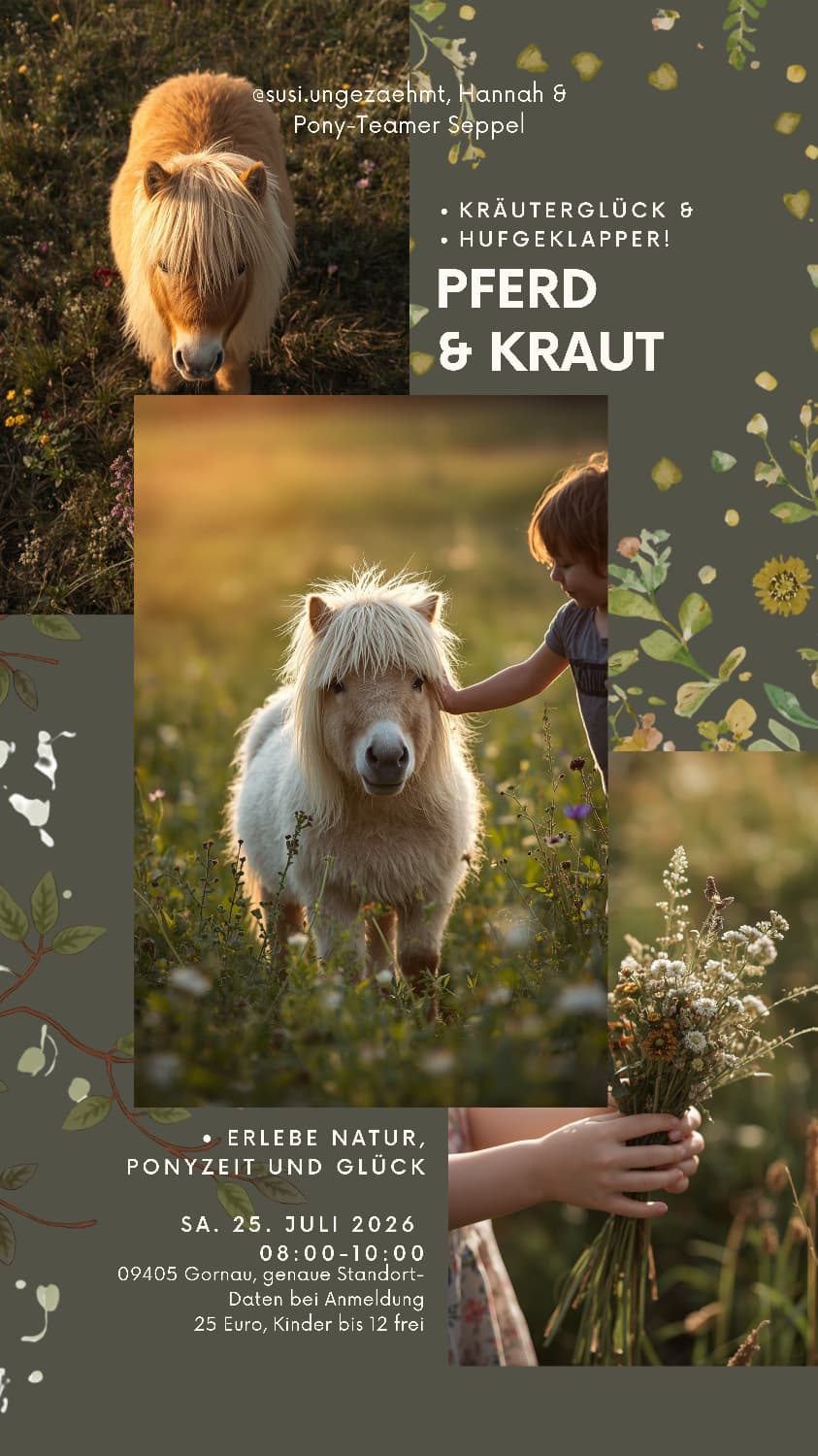 Die Pony Seppel und Marri laden im Erzgebirge bei Susann Kretzschmar zu der Wanderung Pferd und Kraut ein.